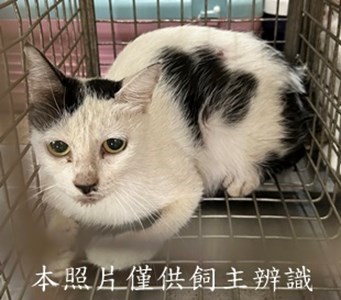 11507160004收41