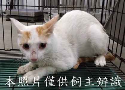 11507236001_4-25