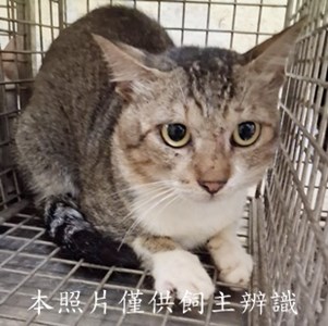 11507240001收-24