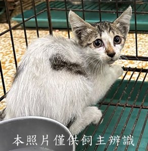 11507240014收70
