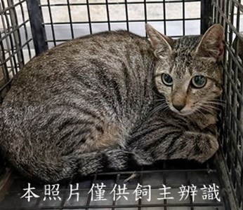 11507240013收25