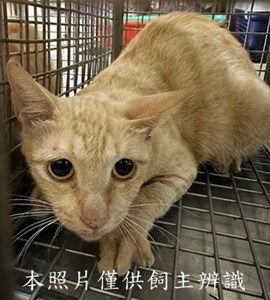11507280002收54