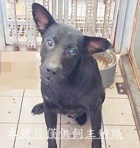 11507280006收元8