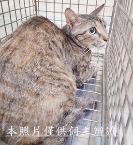 11507280008收26