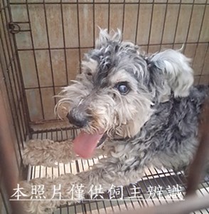 11507280011收幼42