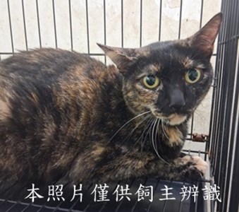 11507280014收14