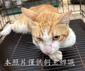 11507290024收2