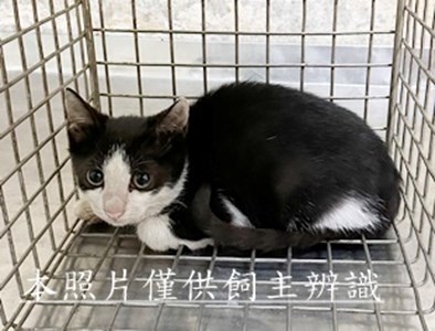11507290025收26