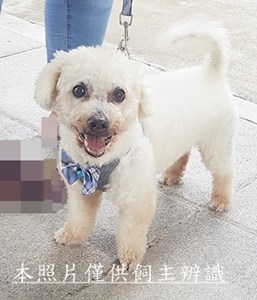 11507300017收-棄3