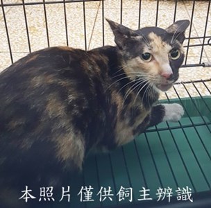 11507310009收-26
