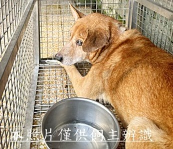 11508030001收