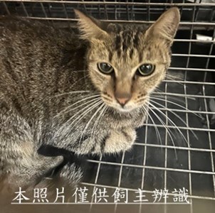 11508030002收65