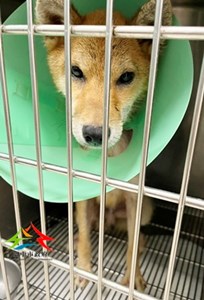 11507290011東南 (1)