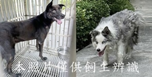 11508030005-6收棄