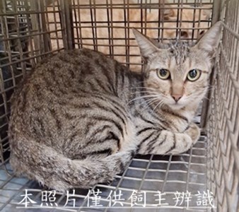 11508030008收22