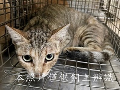 11508050003收76