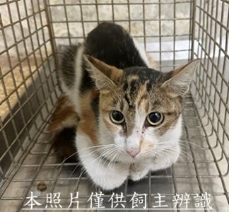 11508060005收