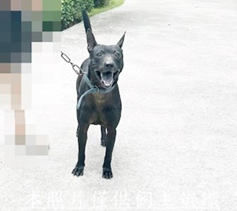 11508060006收棄