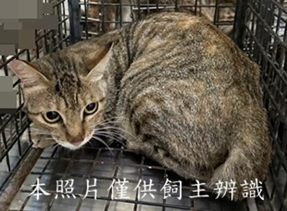 11508060009收1
