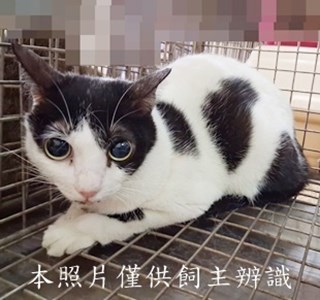 11508220004收-66