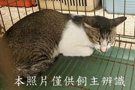 11508280003收43