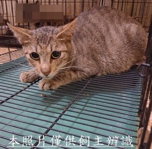 11508280010收26