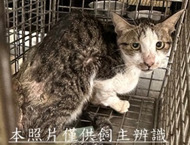 11508290007收 25