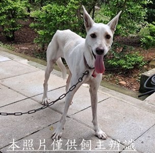 11508290008收棄