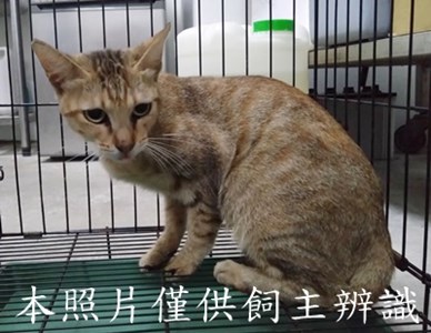 11509016001_4-37