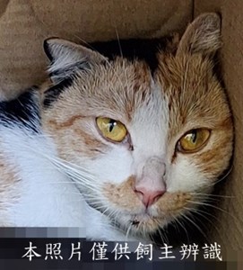 11509070008收85