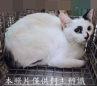 11509080007收-70