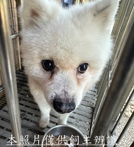 11509080015收