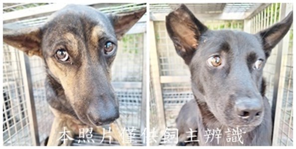 11509120004-5收