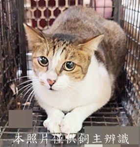 11509120011收98