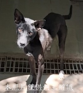 11405128008換-1