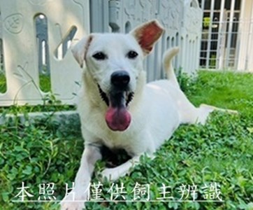 11404028010開
