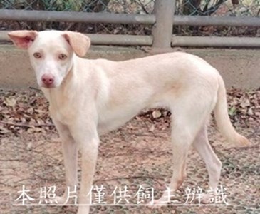 11402278014開