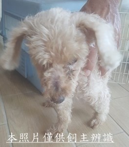 11509150021收棄