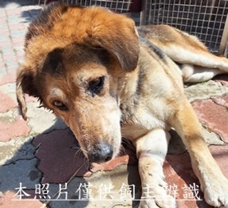 11509170009收X
