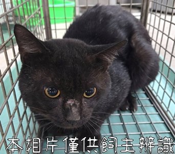 11509216009_4-36