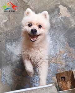 11509080015開(1)