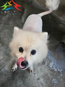 11508040010開 (4)