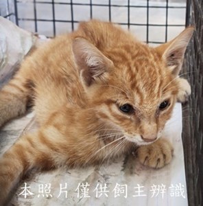 11510190002收31