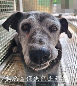 11510290008收圓5