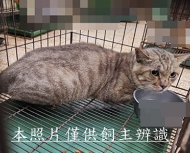 11510290010收75