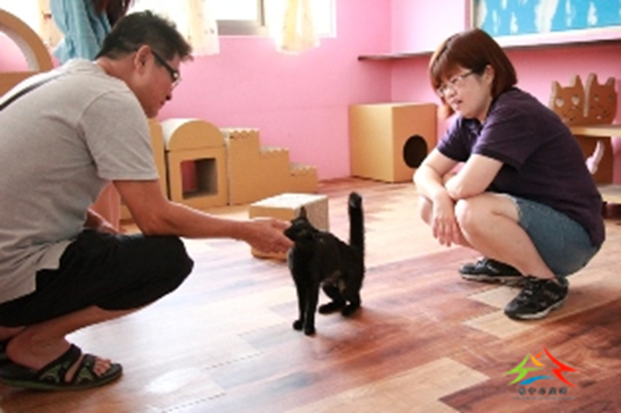 Enthusiastic visitors extend a hand of friendship to the cats