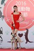 Beautiful model performing with dog.