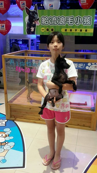 Bèi rènyǎng gǒu gǒu yǔ xiǎo nǚhái de zhàopiàn
12/5000
Photo of adopted dog and little girl.