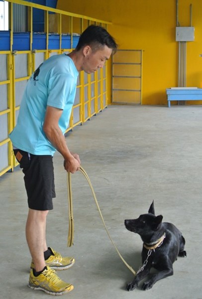 The coach teaches the dog- underarm action