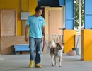 The coach teaches the dog  - taking a walk with the owner